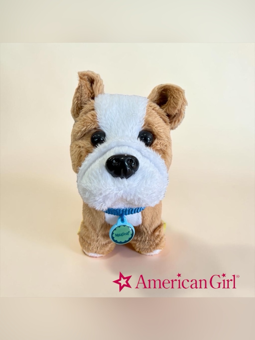 American girl Pet Puppy English Bulldog Meatloaf 2012 *Retired* Hard body MYAG